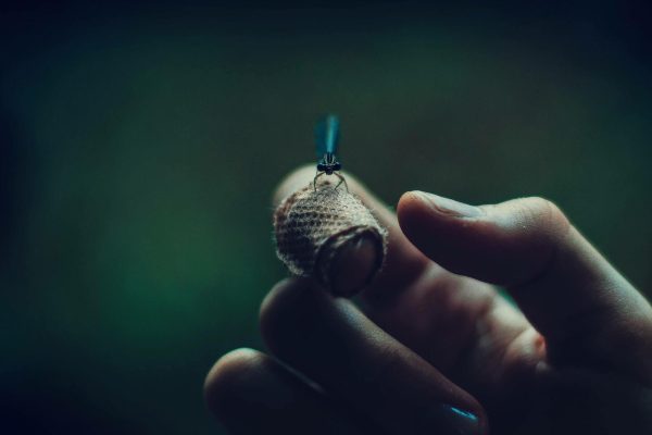 NNW kierowcy częstochowa